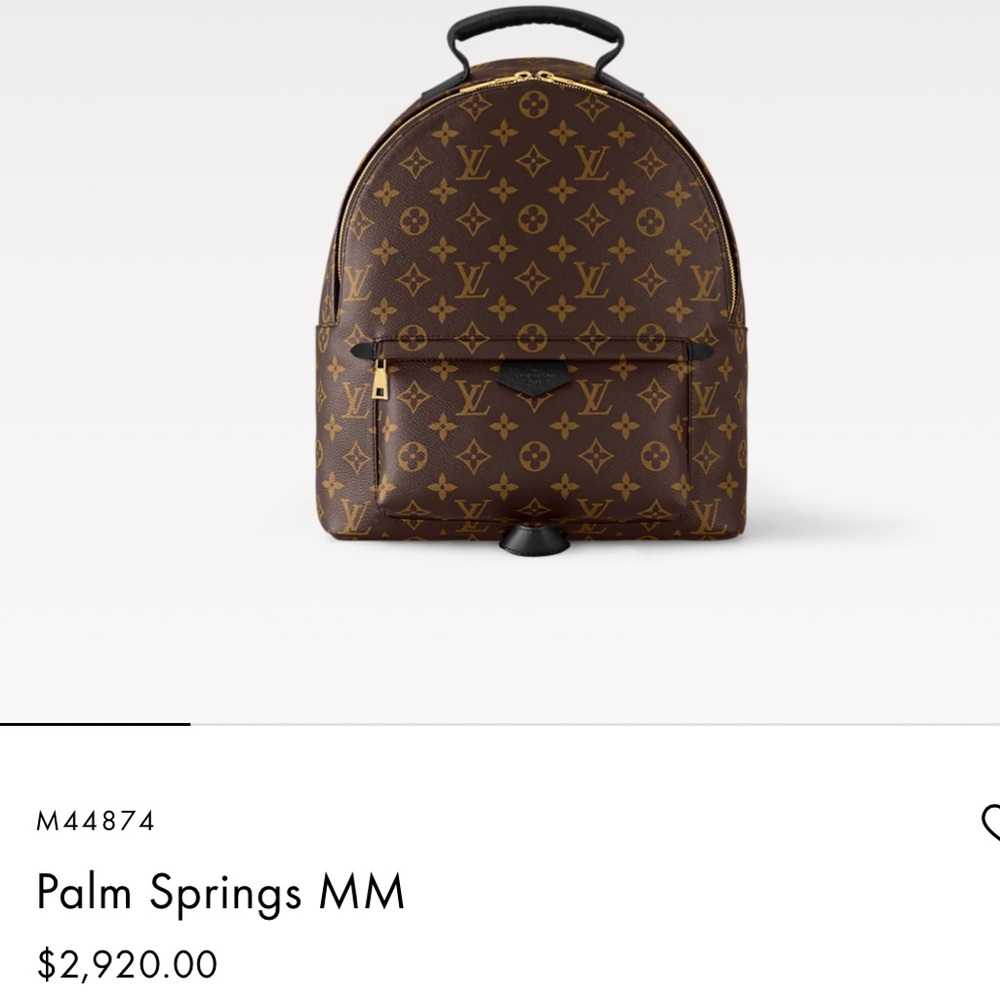 Louis Vuitton Palm Springs MM Brown Backpack